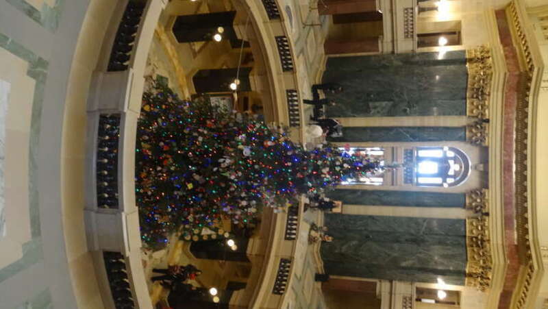 2015 Wisconsin State Capitol Christmas Tree
