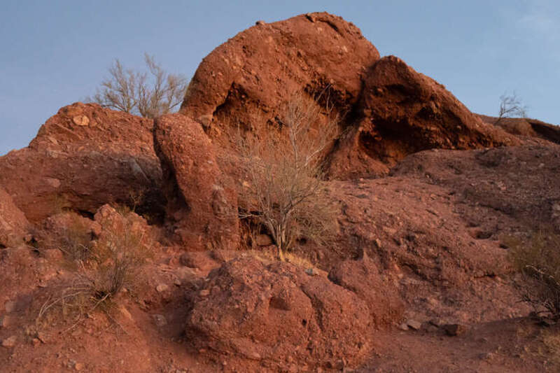 Get the Sony RAW Image ARW