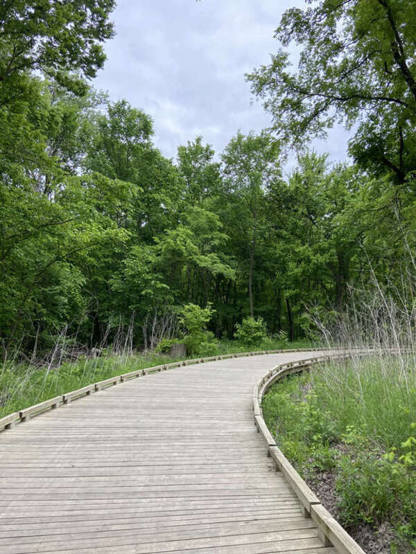 A wooded boardwalk trail in Oak Point Park in Plano, Texas, USA
