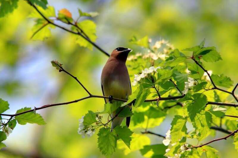 Bayside, WI 53217, USA