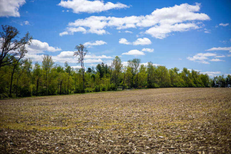 Photo taken in Beavercreek, Ohio.