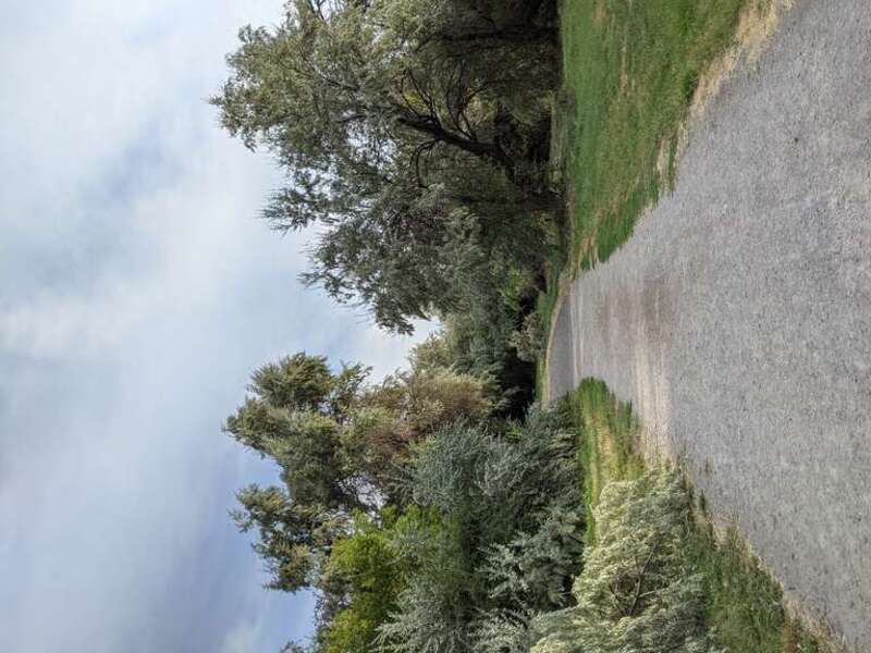 Big Cottonwood Regional Park Holladay Lions Area