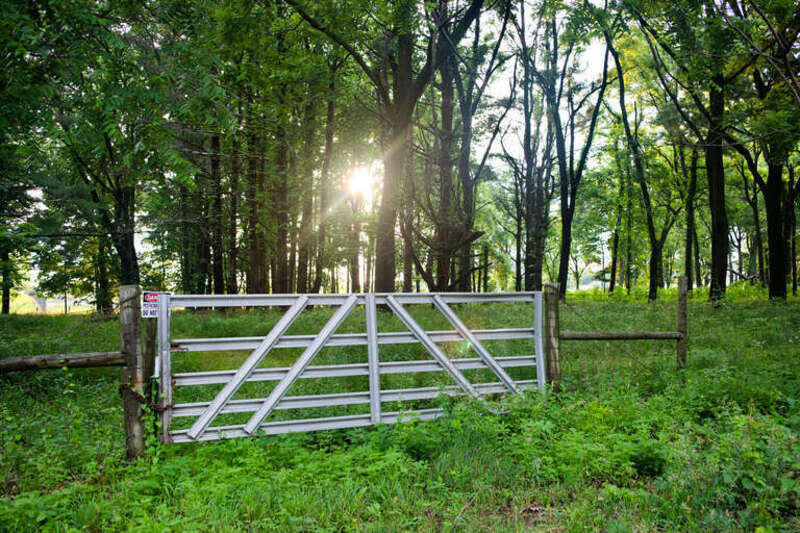 500px provided description: A gate that protects entry into some wilderness. [#trees ,#sunset ,#nature ,#sunlight ,#gate ,#landscapes ,#woods ,#dusk ,#greenery ,#wilderness ,#no entry ,#barrier ,#natural landscapes]