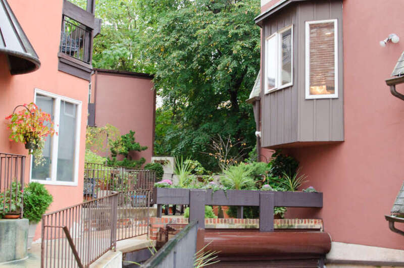 I am loving this urban gardening!