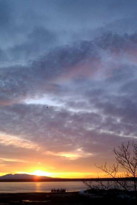 Cook Inlet from Snow Goose