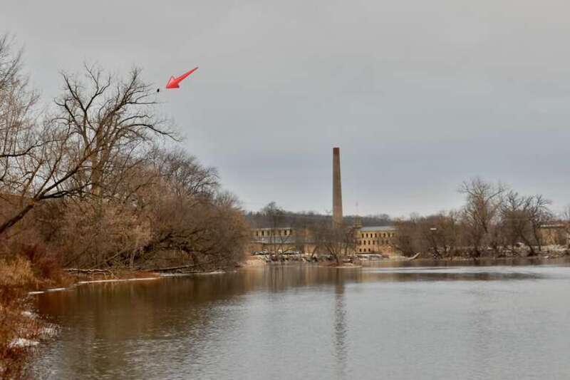 50mm  It's about 20% down from the top and about 25% from the left.