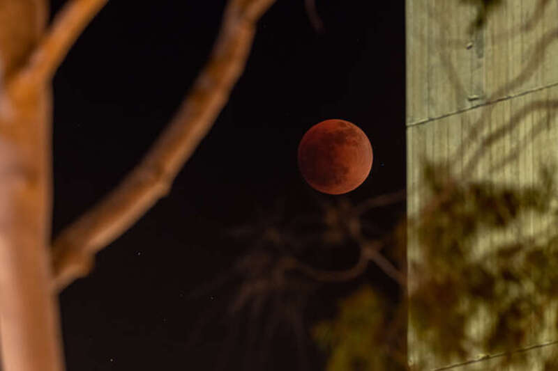 Taken at UCSB during the lunar eclipse of 15 May 2022.