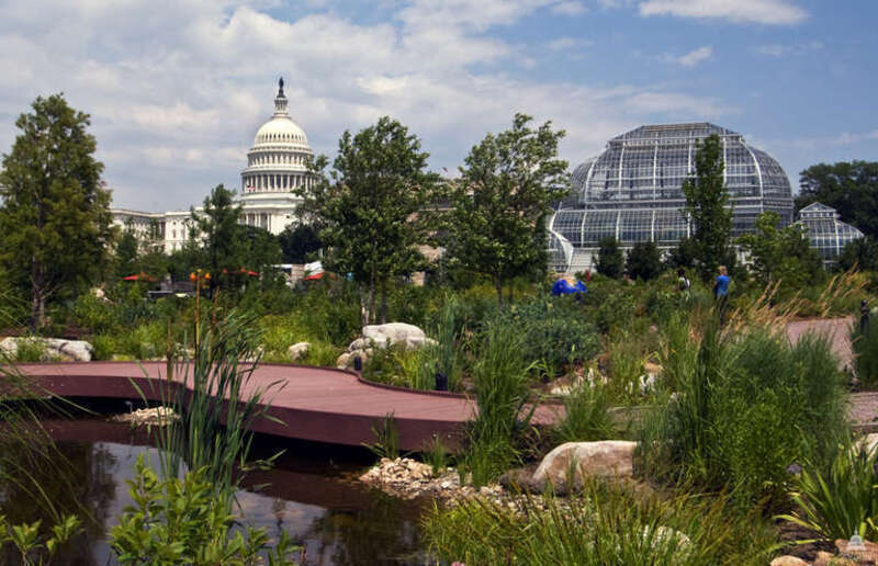 View of the United States Capitol and U.S. Botanic Garden Conservatory from the National Garden

This official Architect of the Capitol photograph is being made available for educational, scholarly, news or personal purposes (not advertising or any