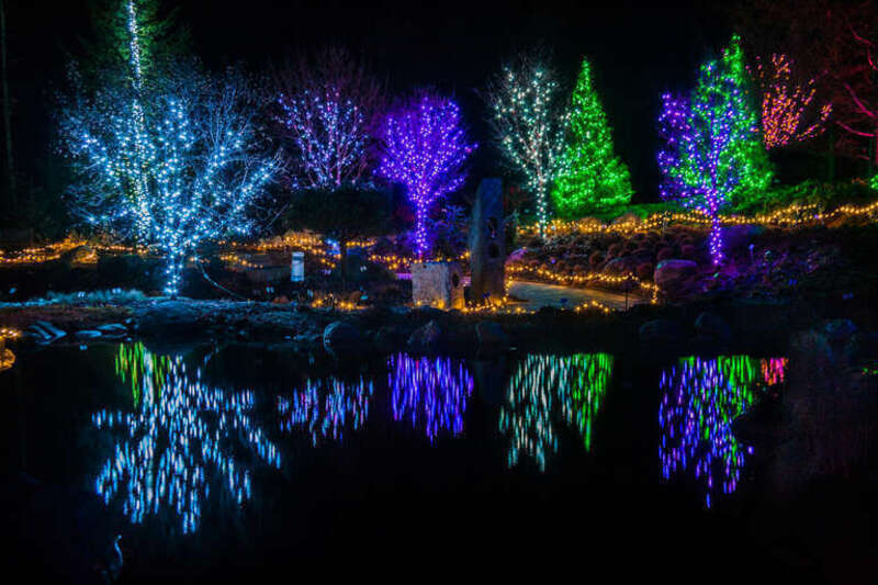 The Coastal Maine Botanical Garden in Boothbay Harbor has had a evening display of lights.  One more viewing opportunity on New Years Eve.  There are over 200,000 lights decorating the trees and other objects in the park.