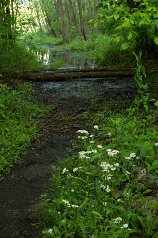 HENDERSONVILLE GREEN WAY,  Hendersonville, TN  ( apply to all)