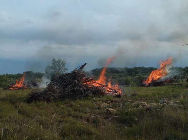 Hamilton Pool Road: Burning Juniper