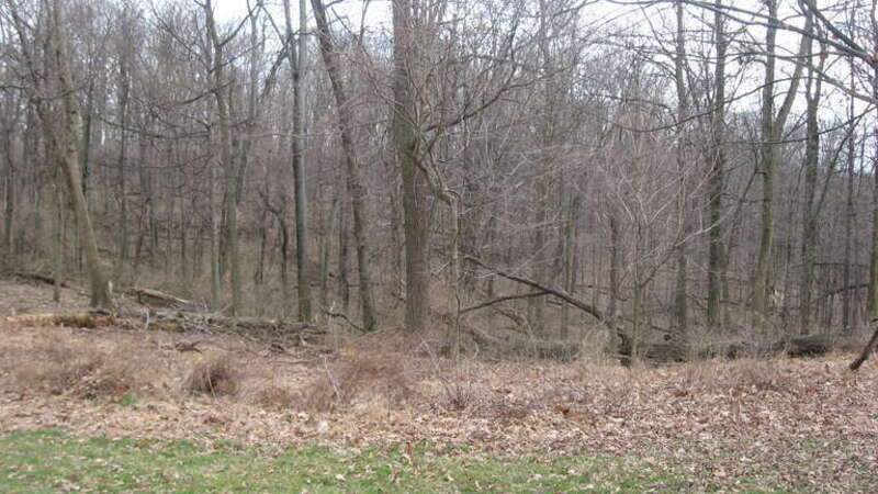 Hills in Mount Airy Forest, located off Colerain Avenue in Cincinnati, Ohio, United States.  The forest is listed on the National Register of Historic Places.