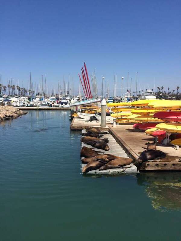 Hollywood, Oxnard, CA 93035, USA