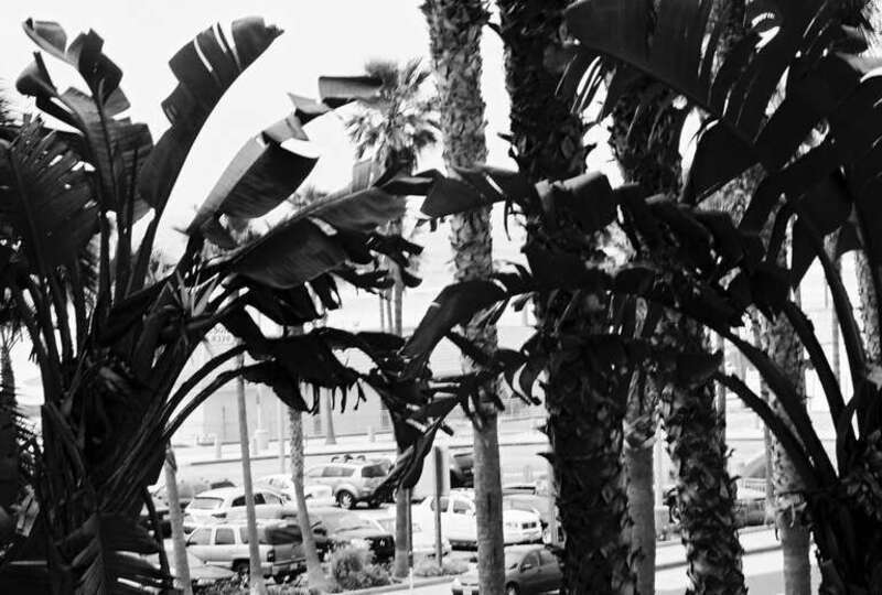 Huntington Beach, CA, USA