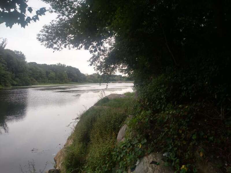 Hutchinson River Reservoir #3, looking south (downstream) towards Dam #3, which impounds the reservoir, in the distance.