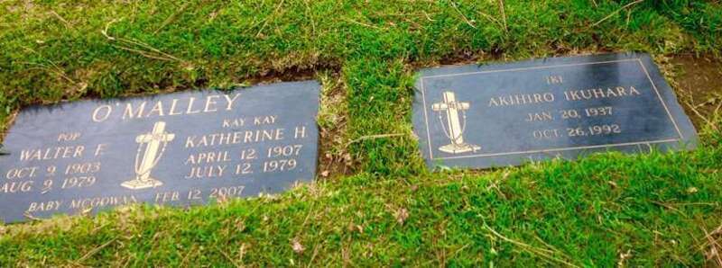 ikuhara &amp;amp; omalley