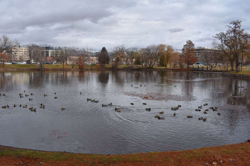 Julia Davis Park in Boise, Idaho