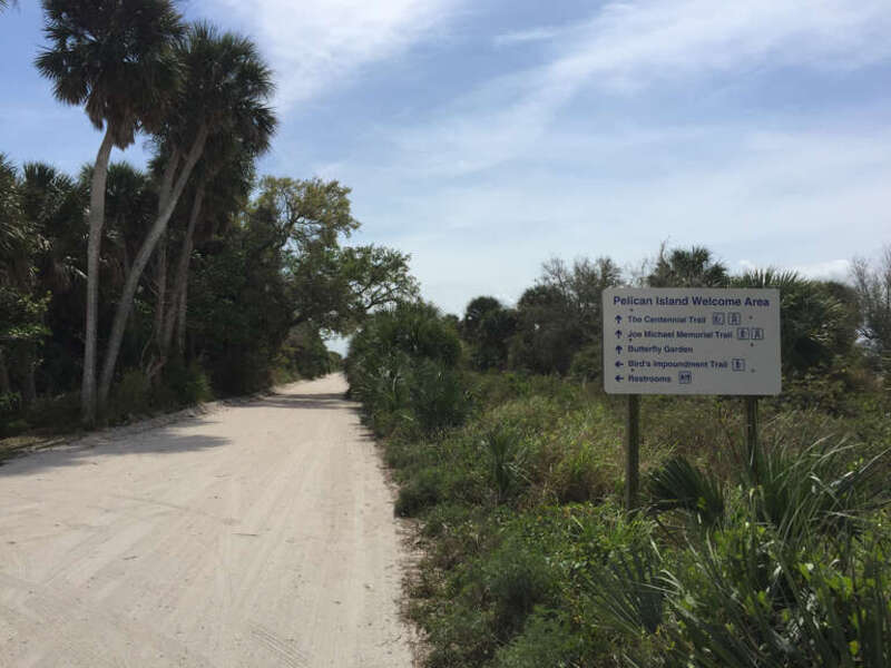 Jungle Trail in the Pelican Island National Wildlife Refuge on Orchid Island, Indian River County, Florida.