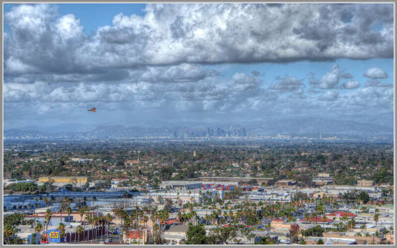 500px provided description: A big red-tailed hawk cruising on the thermals, downtown LA in the background. [#sky ,#city ,#bird ,#clouds ,#california ,#los angeles ,#hawk ,#long beach ,#signal hill ,#HDR]