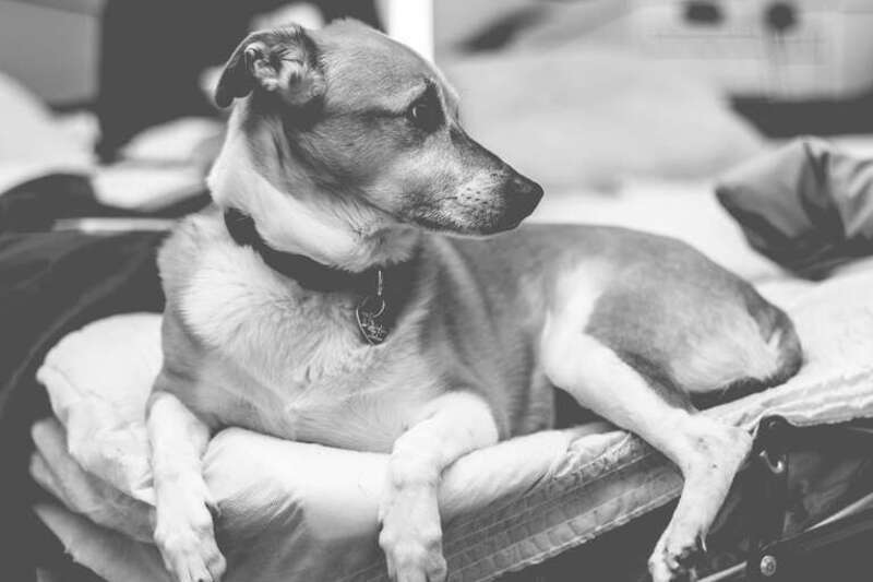 Coconut Creek, United States