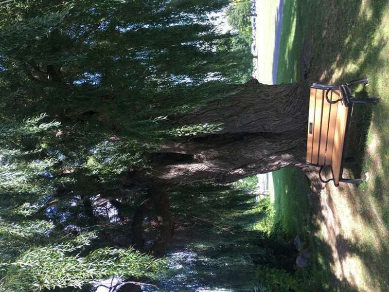 Forever in our hearts
Charles Parker and Michael Diorio
&quot;Looking down and smiling&quot;