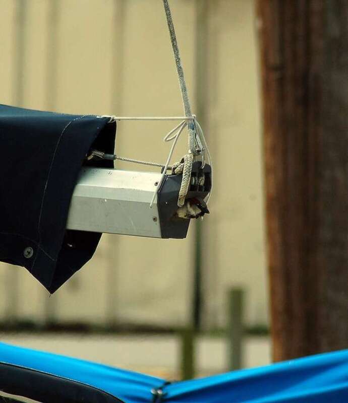 Male House Sparrow perching in what may be a nest on a boat in Alexandria, Virginia