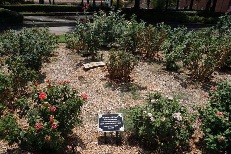 The &quot;I Have a Dream&quot; World Peace Rose Garden at the Martin Luther King Jr. National Historic Site in Atlanta, Georgia (United States).
