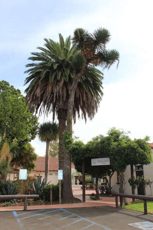 Mission San Luis Obispo de Tolosa, CA USA