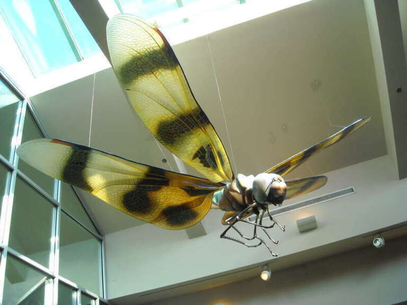 North Carolina Museum of Natural Sciences, Raleigh, NC