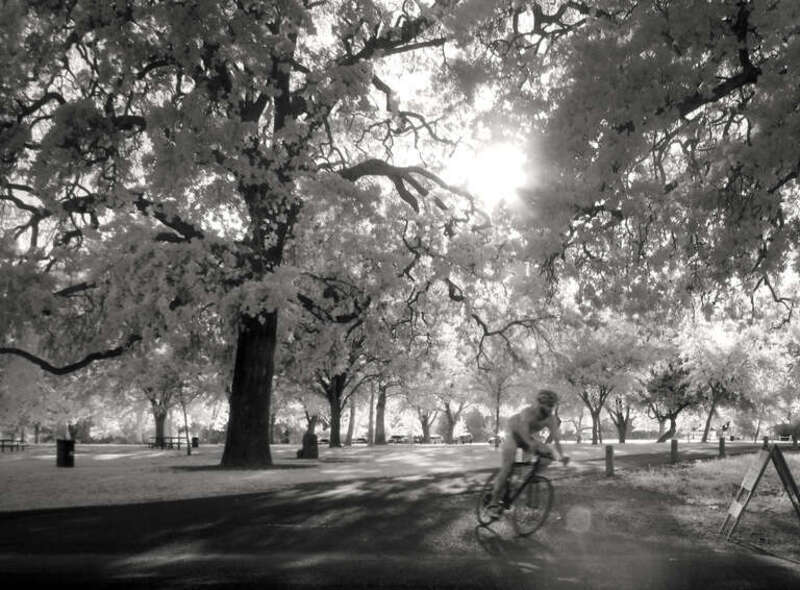 &quot;The truth is you don't know what is going to happen tomorrow. Life is a crazy ride, and nothing is guaranteed.&quot;

 - Eminem