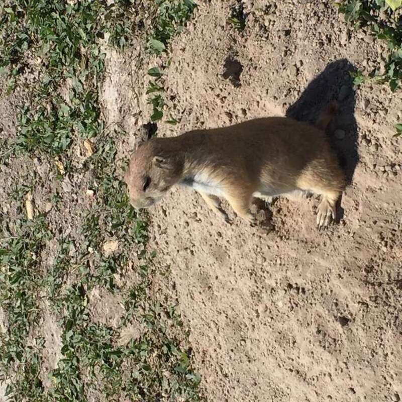 Northwest Jackson, SD, USA