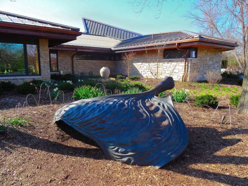 Olbrich Botanical Gardens- Bronze Hosta Leaf