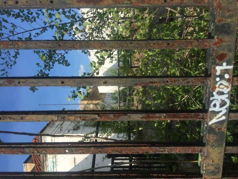 Trees and brush growing inside Hinchcliff Stadium, Paterson New Jersey
