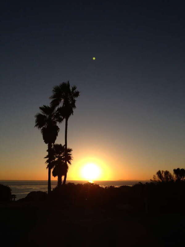 Palm Trees and Star