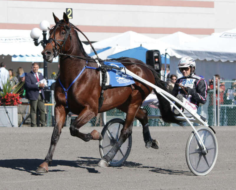 ...warming up before he won the $1,000,000 International Trot in New York