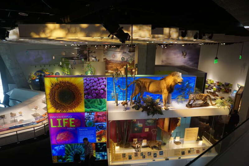 The Discovering Life Hall inside the Perot Museum of Nature and Science in Dallas, Texas (United States).