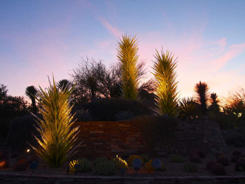 Sunset at the Phoenix Botanical Gardens. The Plants in the image are Chihuly Glass.