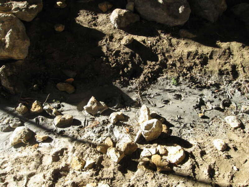 overview shot of tracks in the mud