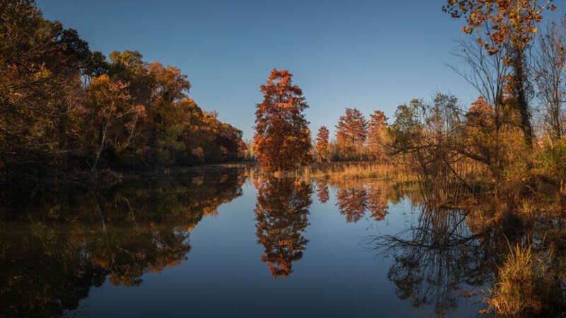 Teddy Roosevelt Island, Washington, DC