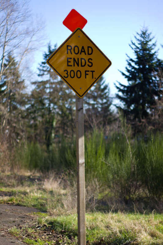 50mm f/1.8 II

Kinda fuzzy, partially due to ISO 400.  CA a-plenty.