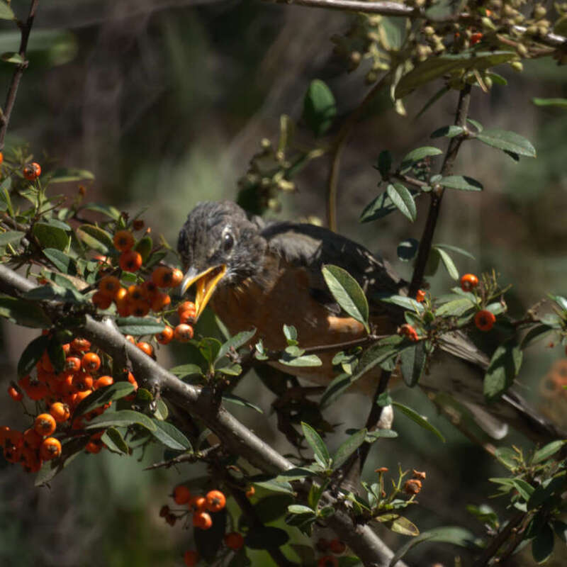 Huntington Central Park

Huntington Beach, CA