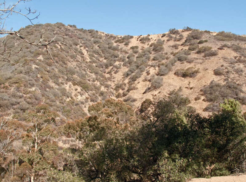Runyon Canyon east trail, viewed from the west trail. Location is approximate.