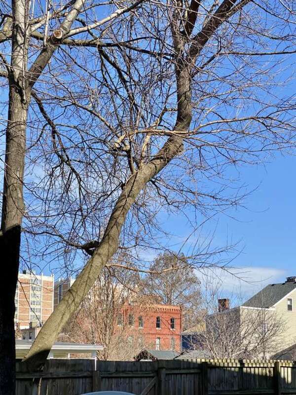 Mutter Gottes, Covington, KY