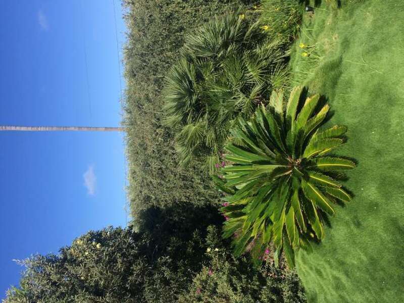 California, USA - September 2016

San Diego in September 2016