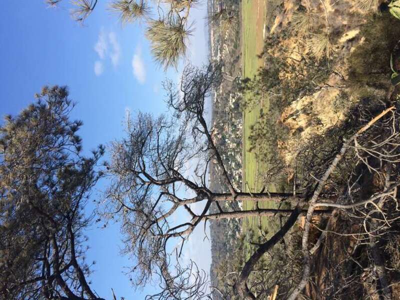 California, USA - September 2016

San Diego in September 2016