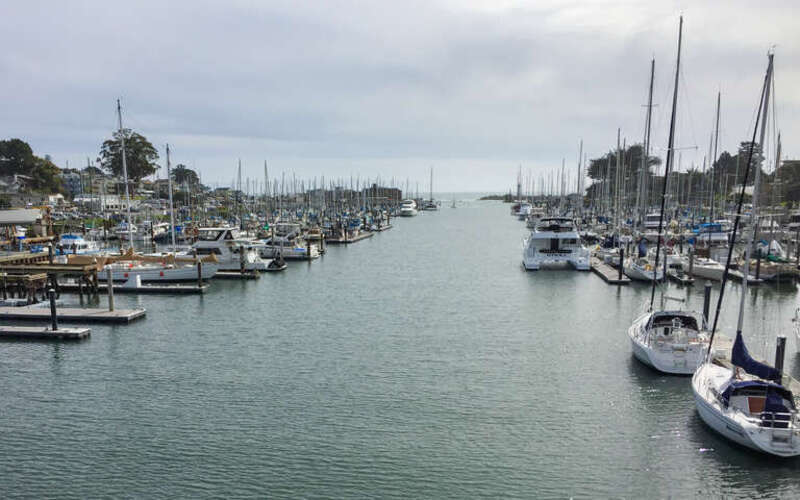 View of Santa Cruz Harbor from the Murray Street Bridge.
