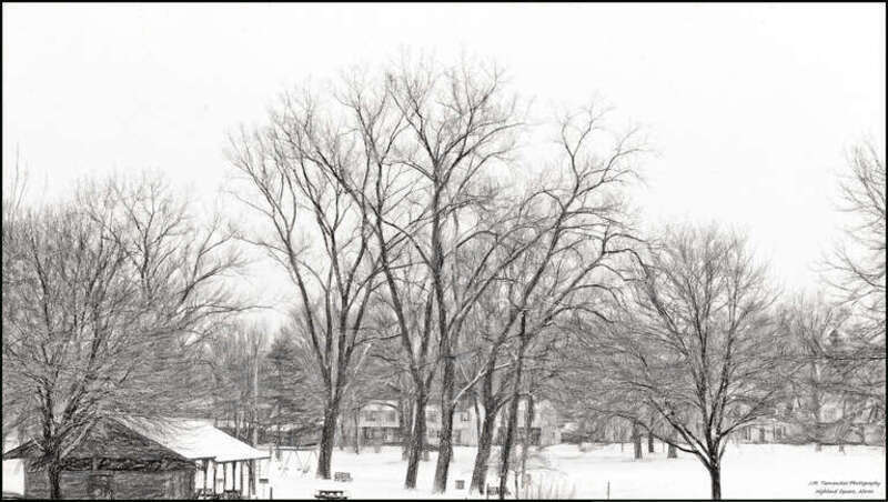 500px provided description: The children come and go with the seasons but the trees are always there keeping watch. [#park ,#winter ,#cold ,#snow ,#b&amp;amp;w]