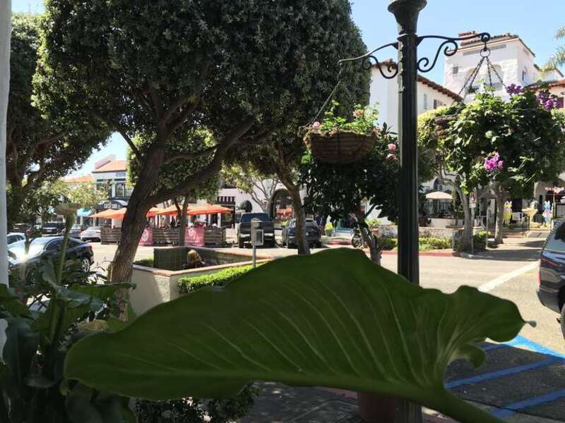 Seated for lunch on the patio of Sol Agave, this is the view of Avenida Del Mar in San Clemente.

115 Avenida del Mar, San Clemente, CA (United States)