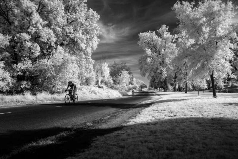 “Not I, nor anyone else can travel that road for you.
You must travel it by yourself.
It is not far. It is within reach.
Perhaps you have been on it since you were born, and did not know. 
Perhaps it is everywhere - on water and land.” 

― Walt