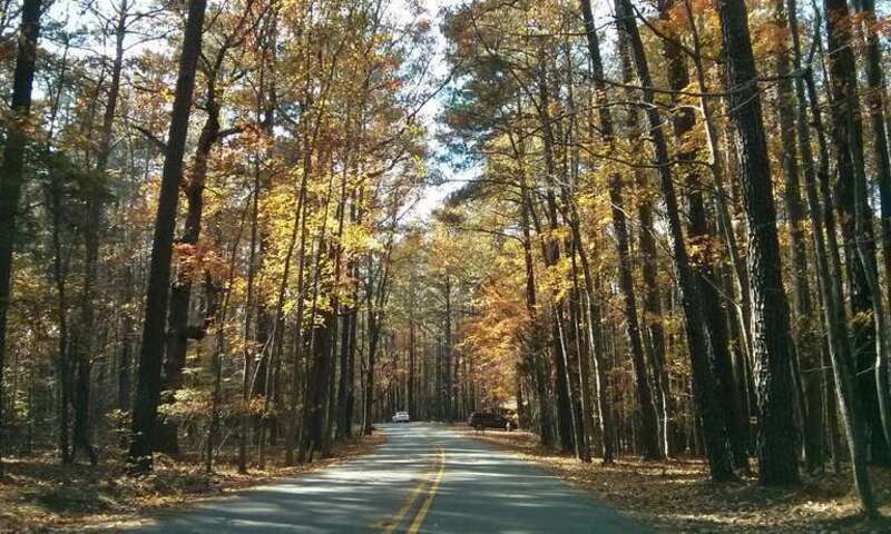 Umstead, Raleigh, NC, USA